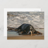 Siegel Postkarte (Vorne/Hinten)