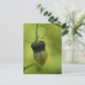 Siegel Postkarte (Stehend Vorderseite)