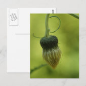 Siegel Postkarte (Vorne/Hinten)