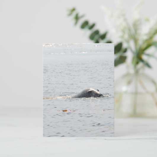 Siegel Postkarte (Stehend Vorderseite)