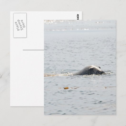 Siegel Postkarte (Vorne/Hinten)