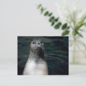 Siegel Postkarte (Stehend Vorderseite)