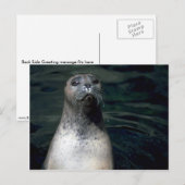 Siegel Postkarte (Vorne/Hinten)