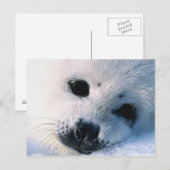 Siegel Postkarte (Vorne/Hinten)