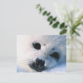 Siegel Postkarte (Stehend Vorderseite)