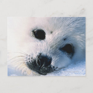 Siegel Postkarte