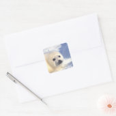 Siegel Pup Face Quadratischer Aufkleber (Umschlag)