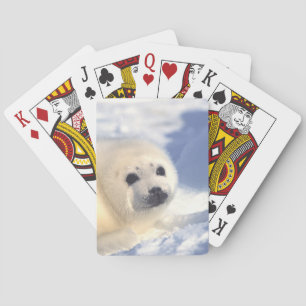 Siegel Pup Face Spielkarten