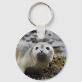 Siegel Pup Schlüsselanhänger (Vorderseite)