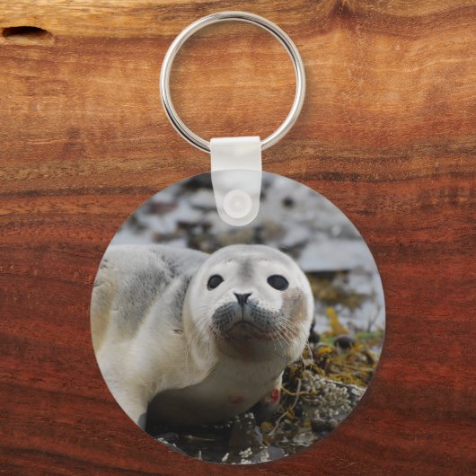 Siegel Pup Schlüsselanhänger (Vorderseite)