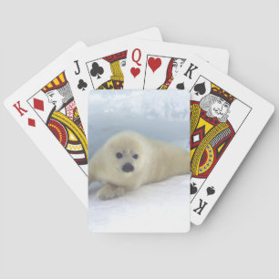Siegel Pup Spielkarten