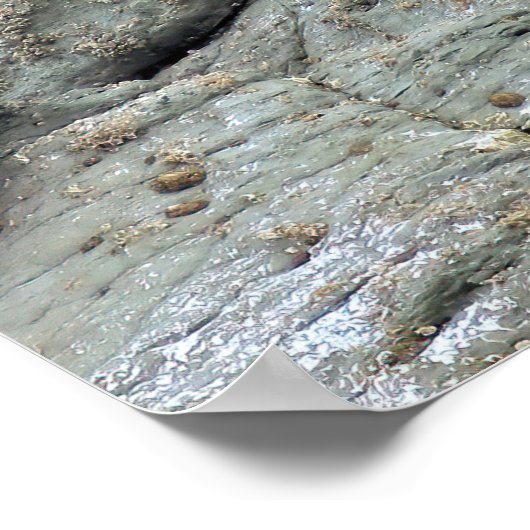 Siegel Pup Trio Poster (Ecke)