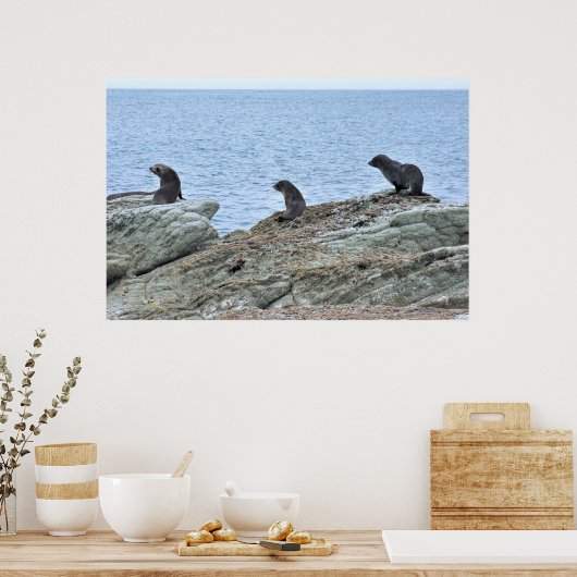 Siegel Pup Trio Poster (Küche)