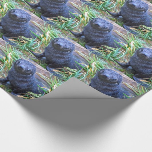 Siegel Pup Wrapping Paper Geschenkpapier (Ecke)