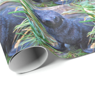 Siegel Pup Wrapping Paper Geschenkpapier
