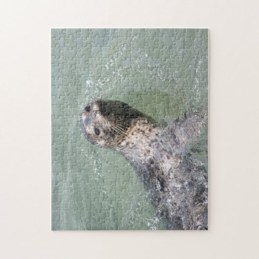 Siegel Puzzle (Vertikal)