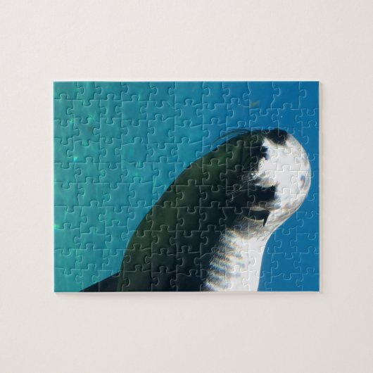 Siegel Puzzle (Horizontal)