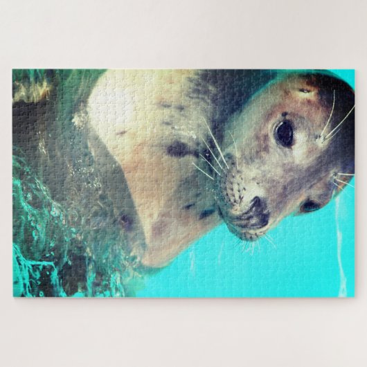 Siegel Puzzle (Horizontal)