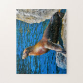 Siegel Robben Island Florida. Puzzle (Vertikal)