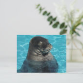 "SIEGEL SCHLAFEN" POSTKARTE (Stehend Vorderseite)