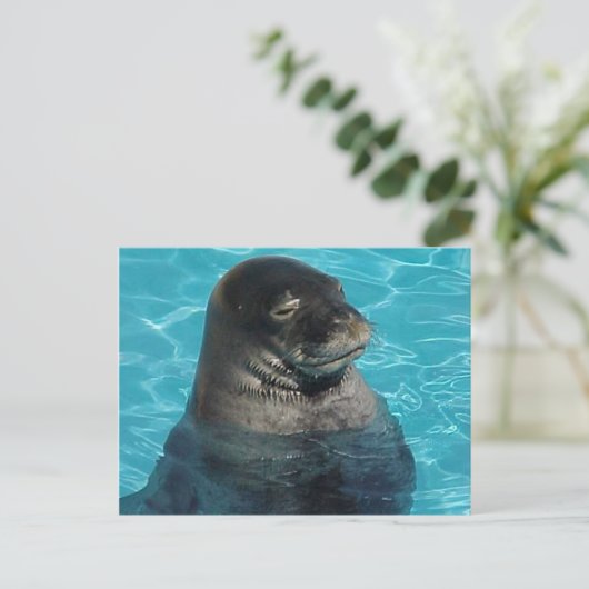 "SIEGEL SCHLAFEN" POSTKARTE (Stehend Vorderseite)