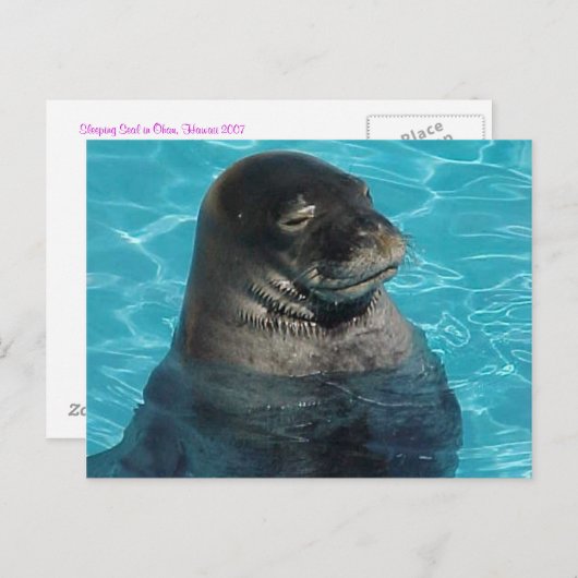 "SIEGEL SCHLAFEN" POSTKARTE (Vorne/Hinten)