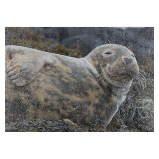 Siegel Schneidebrett (Vorderseite)