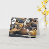 Siegel Sleep Farb Karte (Gelbe Blume)