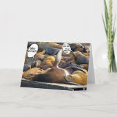 Siegel Sleep Farb Karte (Vorderseite)