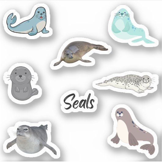 Siegel Stickers Aufkleber (Vorderseite)