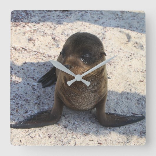 Siegel-Uhr Quadratische Wanduhr (Vorderseite)