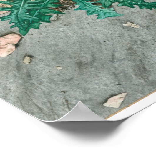 Siegel und Chips Poster (Ecke)