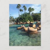 Siegel und Seelöwen