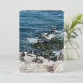 Siegel und Vögel Feiertagskarte (Stehend Vorderseite)