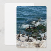 Siegel und Vögel Feiertagskarte (Vorne/Hinten)