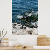 Siegel und Vögel Poster (Küche)