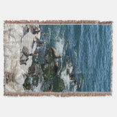 Siegel und Vogelscheuche Decke (Vorderseite)