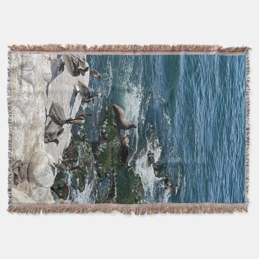 Siegel und Vogelscheuche Decke (Vorderseite)