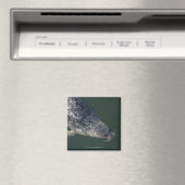 Siegel unter dem Wasser 2 Magnet (In Situ (Geschirrspüler))