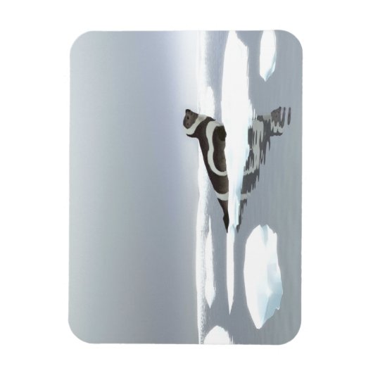 Siegel von Band auf Eis Magnet (Vertikal)