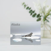 Siegel von Band auf Eis Postkarte (Stehend Vorderseite)