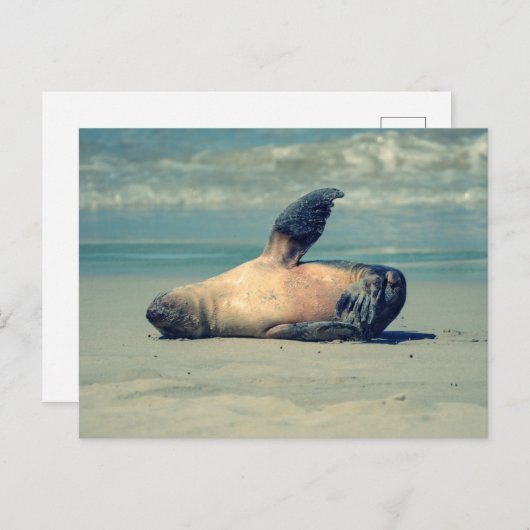 Siegel Wave Postkarte (Vorne/Hinten)