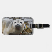 Siegel-Welpen-Gepäck-Umbau Gepäckanhänger (Vorderseite horizontal)