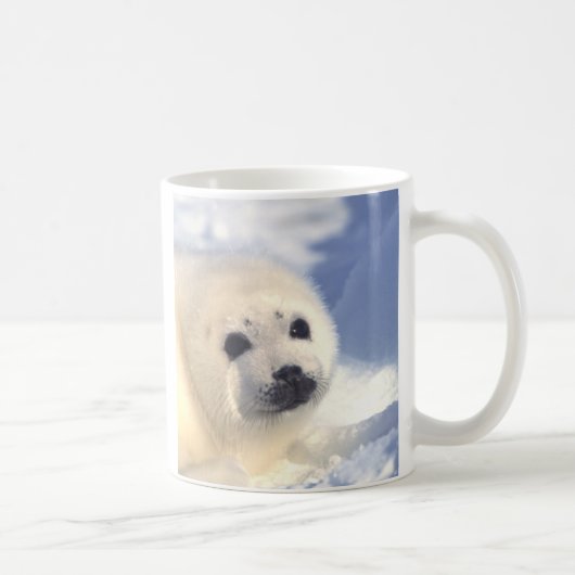 Siegel-Welpen-Gesicht Kaffeetasse (Rechts)
