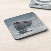 Siegelleopard, der schwimmt getränkeuntersetzer (Linke Seite)