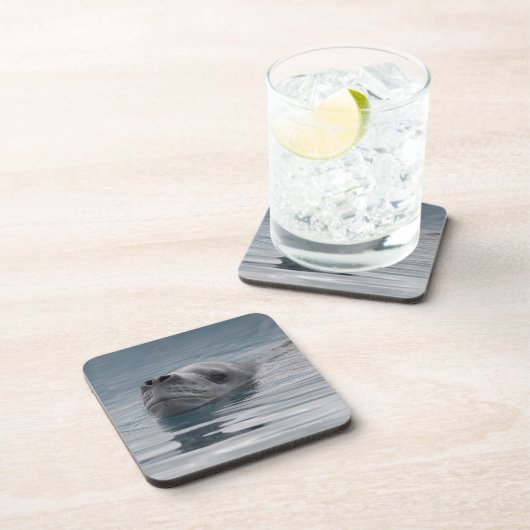 Siegelleopard, der schwimmt getränkeuntersetzer (Rechte Seite)