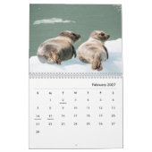 Siegels Wall Calendar Kalender (Feb 2027)