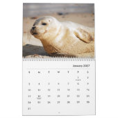 Siegels Wall Calendar Kalender (Jan 2027)