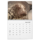 Siegels Wall Calendar Kalender (Mär 2027)