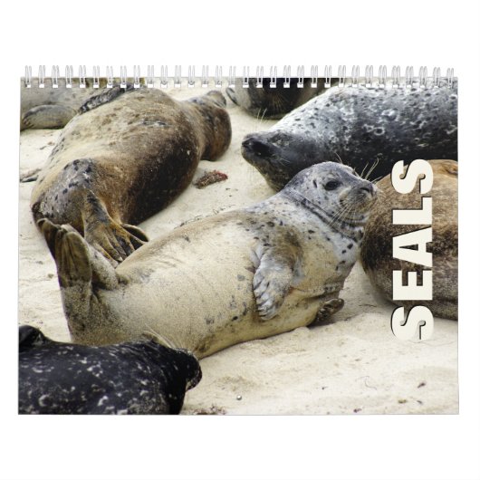 Siegels Wall Calendar Kalender (Titelbild)